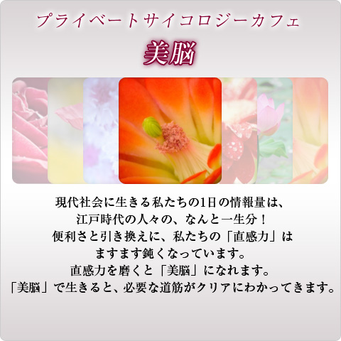  【美脳】現代社会に生きる私たちの1日の情報量は、江戸時代の人々の、なんと一生分！便利さと引き換えに、私たちの「直感力」はますます鈍くなっています。直感力を磨くと「美脳」になれます。「美脳」で生きると、必要な道筋がクリアにわかってきます。